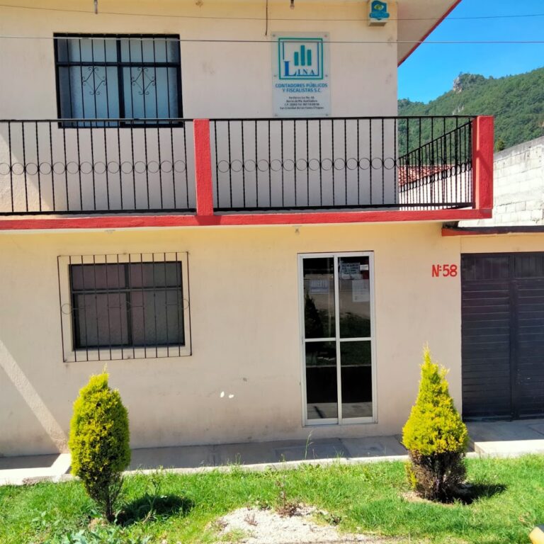 37104 lina contadores 768x768