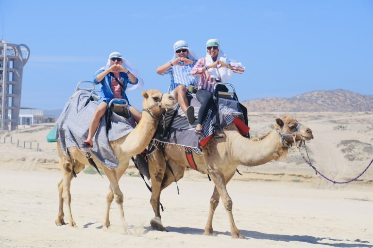 37482 cabo premiere tours 768x512