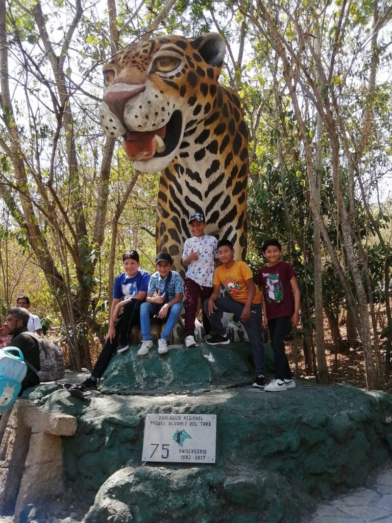 37626 agencia de viajes kayche san cristobal 768x1024