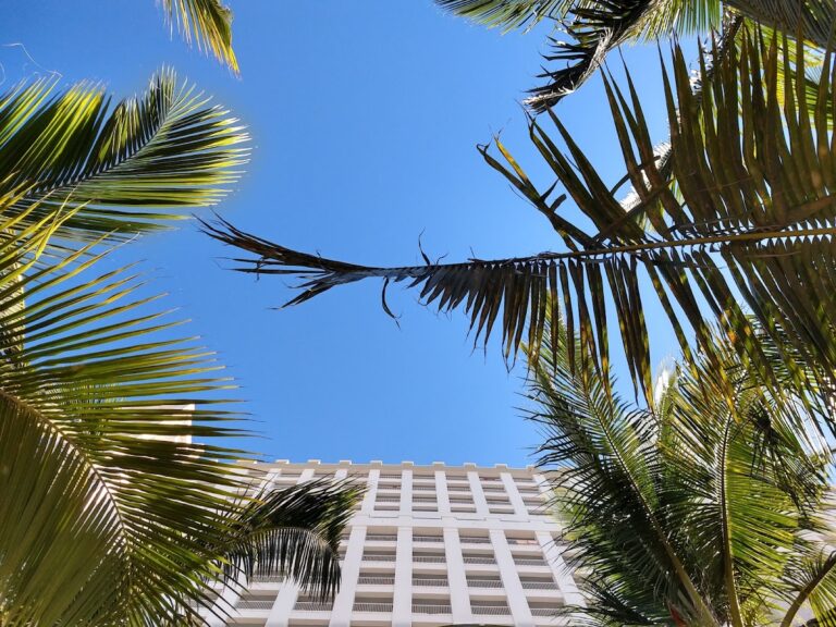 37716 viajes miranda 768x576