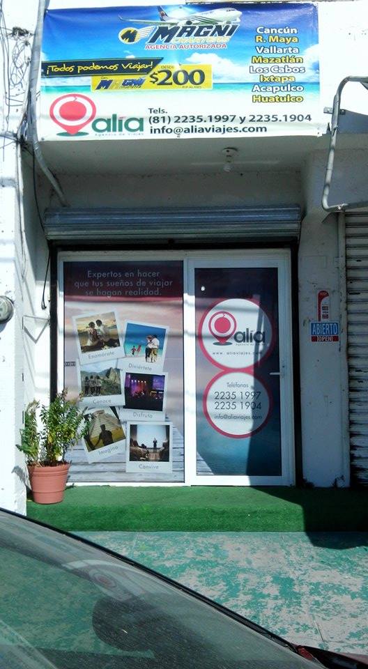 37762 alia agencia de viajes