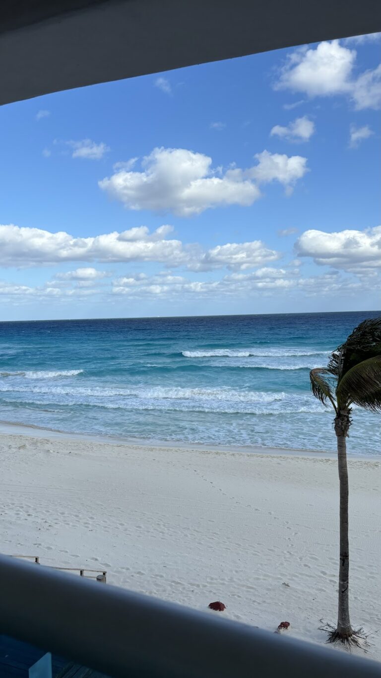 37776 travelito 8211 agencia de viajes 768x1365