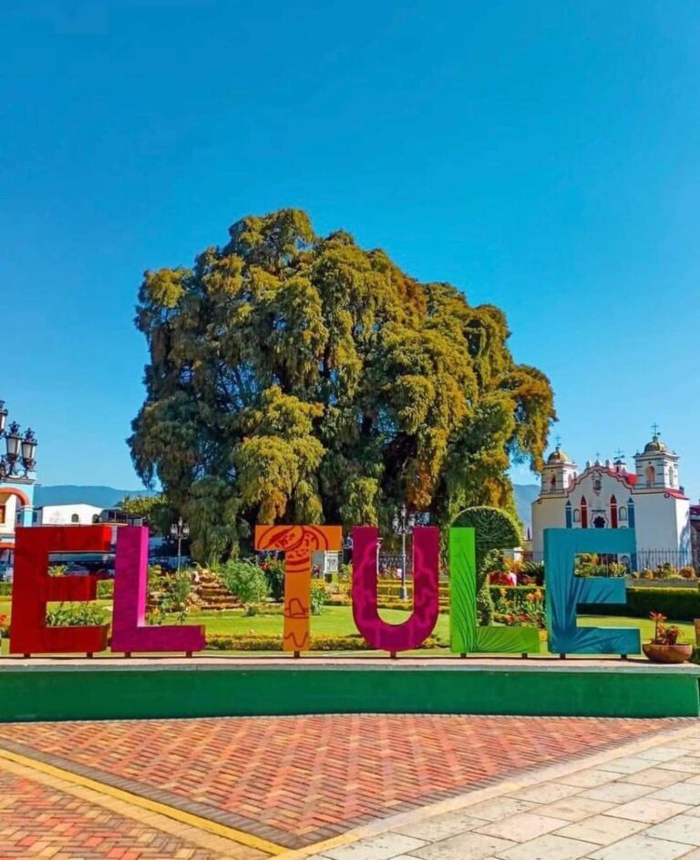 37786 tour y viajes oaxaca 768x944