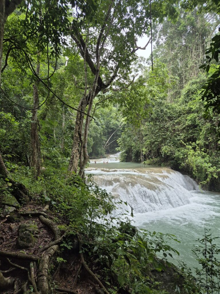 37796 tours en huatulco 768x1024