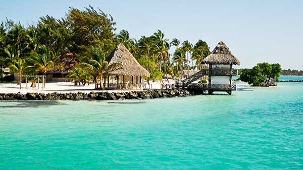 37810 innova viajes agencia de viajes en queretaro