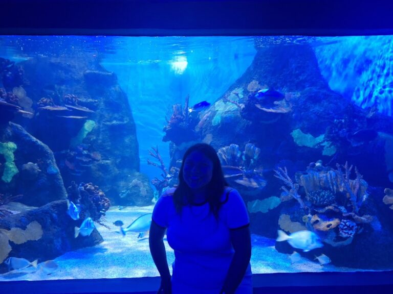 37895 ar tours tampico agencia de viajes 768x576