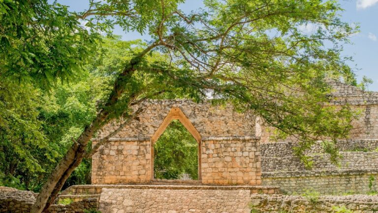 37987 mexigo tours 768x432