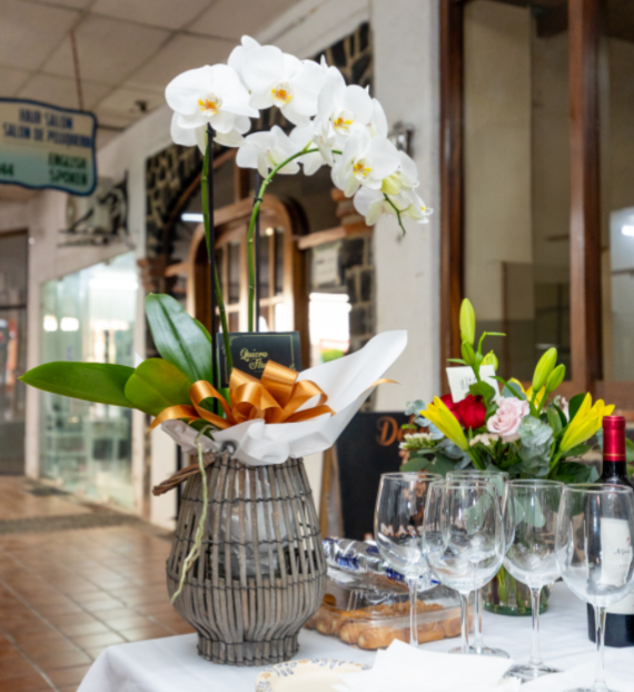 38169 blanca arellano seguros ahorro y retiro en puerto vallarta