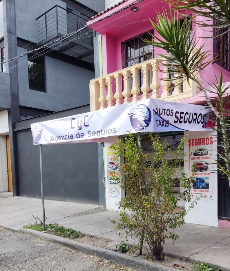 38296 agencia de seguros en general representante de banorte inbursa qualitas afirme la latinoamericana 768x904