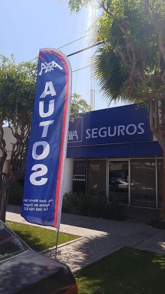 38382 tienda axa los mochis