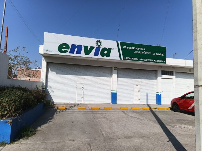 38463 envia paqueteria aguascalientes 768x576