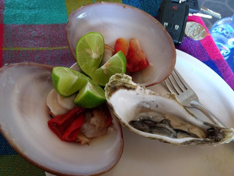 38485 clickexpress paqueteria 768x576