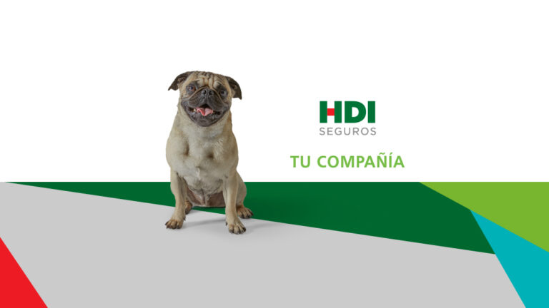38487 hdi seguros zacatecas 768x432