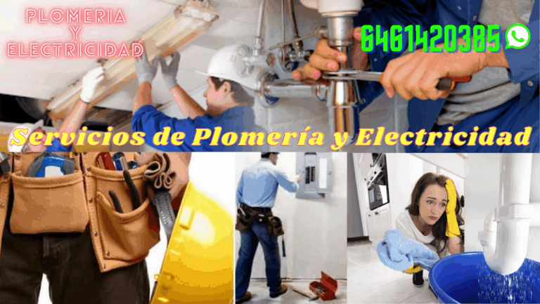 38501 servicio de paqueteria y mensajeria ensenada 768x433