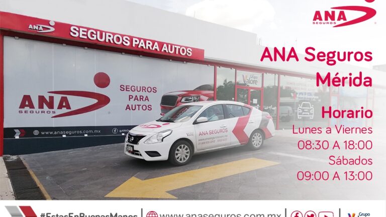 38513 ana seguros 768x432