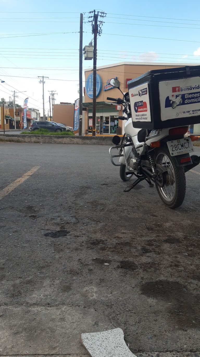 38773 mensajeria el cid 768x1365