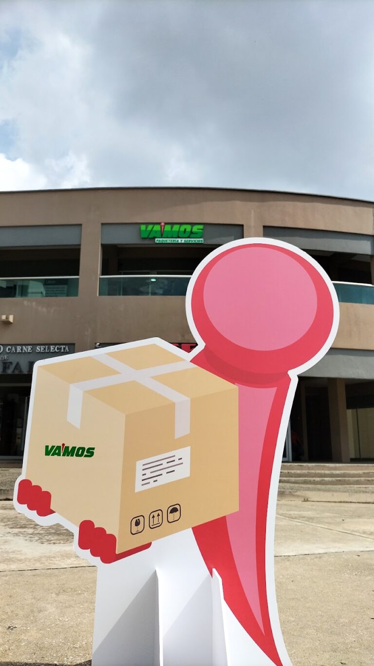 38884 vamos paqueteria y servicios villahermosa 768x1365