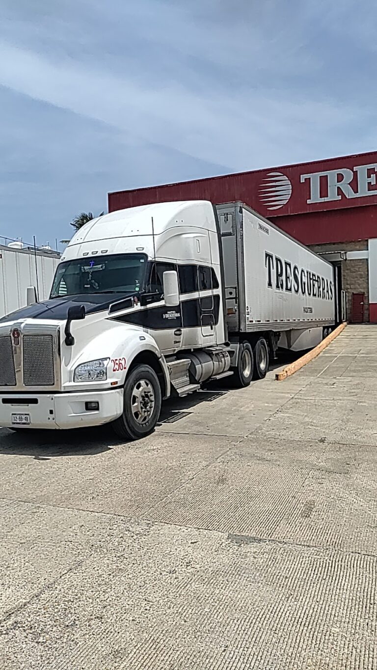 38939 paqueteria tresguerras coatzacoalcos 768x1365