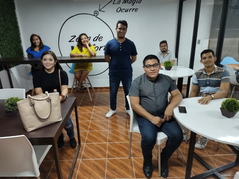 39021 omnistar 768x575