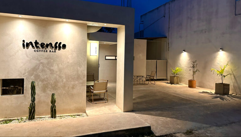 39445 intensso 768x437