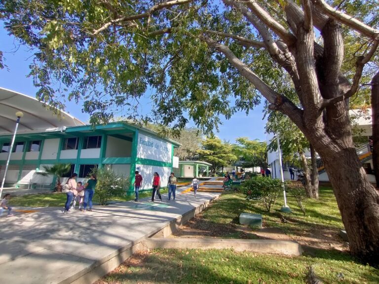 39539 facultad de lenguas extranjeras flex 768x576