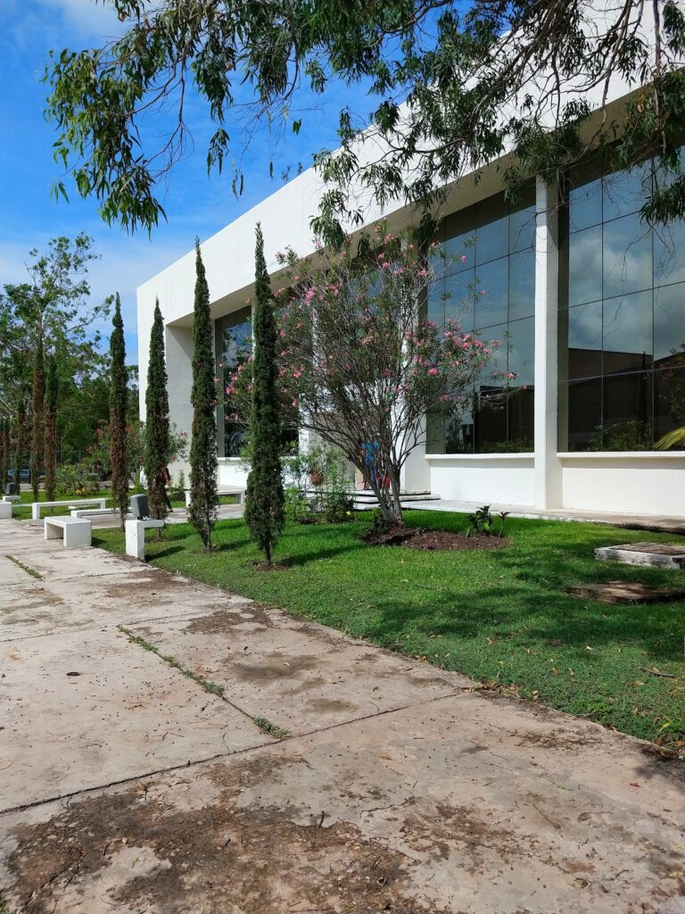 39827 cellap tampico 768x1024