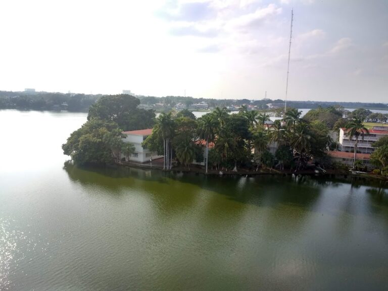 39837 centro de ensenanza de idiomas 768x576