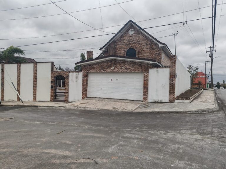 39908 golden english reynosa 768x576