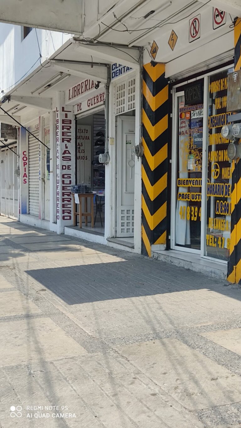 40044 escuela de manejo chilpancingo 768x1365