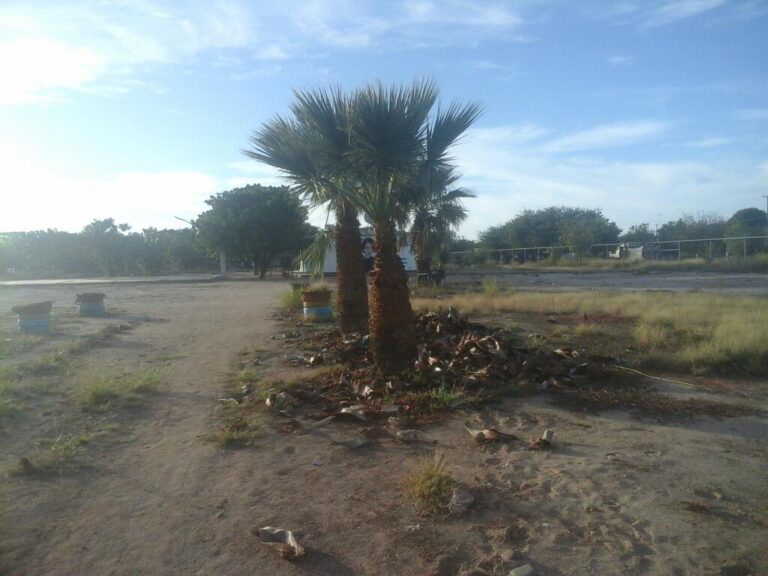 40236 escuela profesional de manejo 768x576