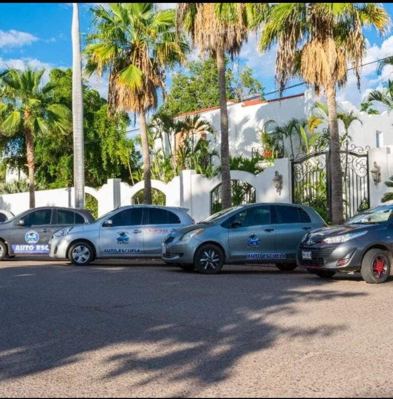 40238 escuela de manejo genesis 768x779