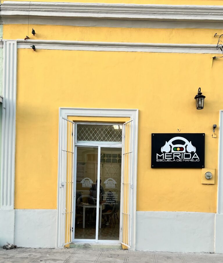 40310 escuela de manejo merida 768x902