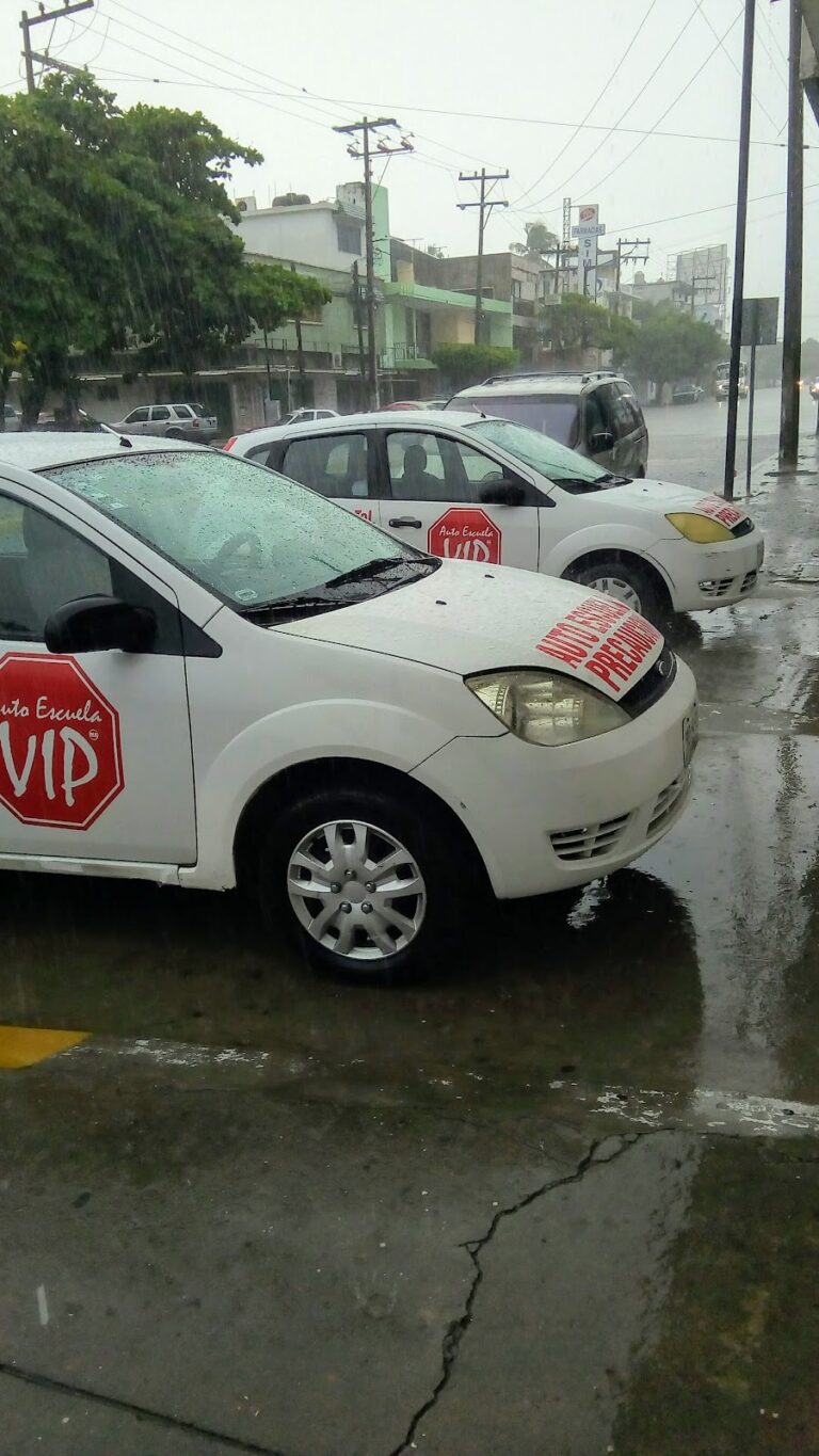 40312 escuela de manejo vip 768x1365