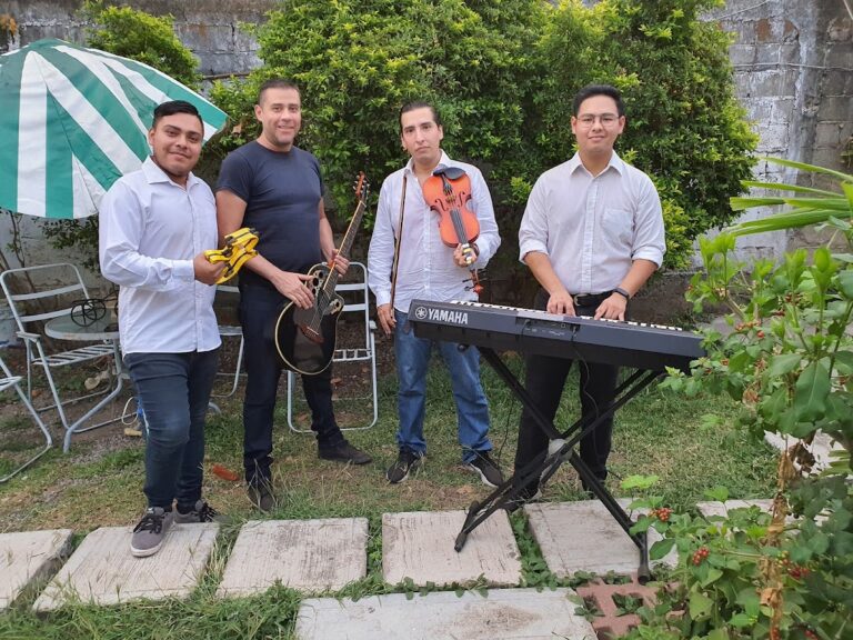 40358 colegio de musica orfeo 768x576