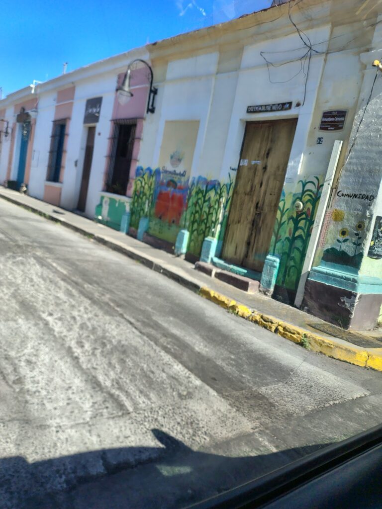 40403 sonata academia de musica colima 768x1024