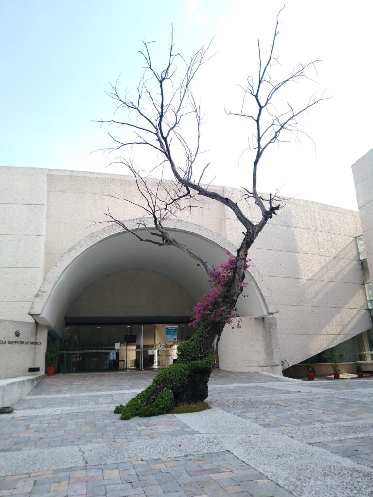 40418 escuela superior de musica campus cenart 768x1024