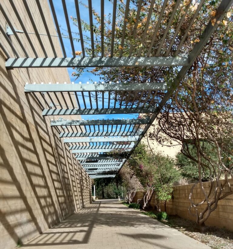 40767 centro estatal de las artes tijuana 768x822