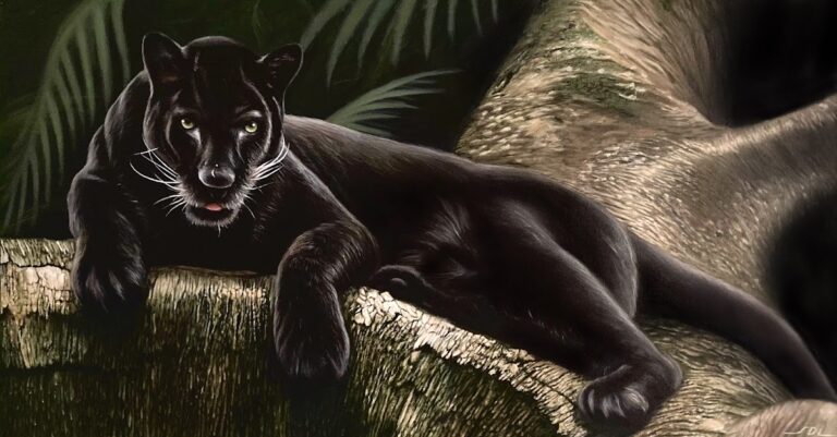 40820 sebastian de luna 8211 art studio 768x401