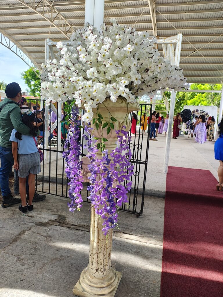 41286 escuela primaria alicia maria calderon de aviles 768x1024