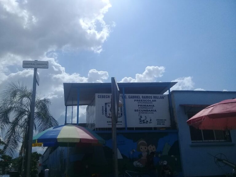 41301 centro escolar lic. gabriel ramos millan 768x576