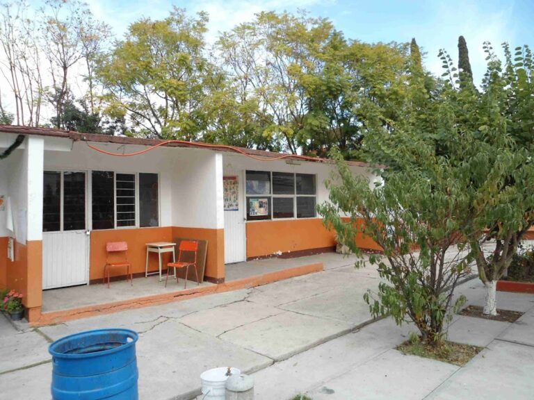 41460 escuela primaria urbana gral. vicente guerrero saldana 768x576