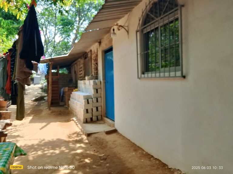 41531 primaria adolfo lopez mateos 768x576