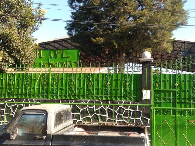 41612 escuela primaria oficial profra paz montano 768x576