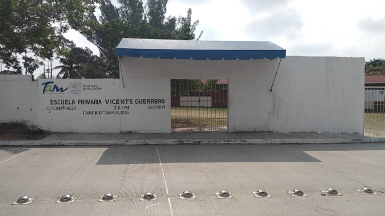 41634 primaria 8211 vicente guerrero 768x432