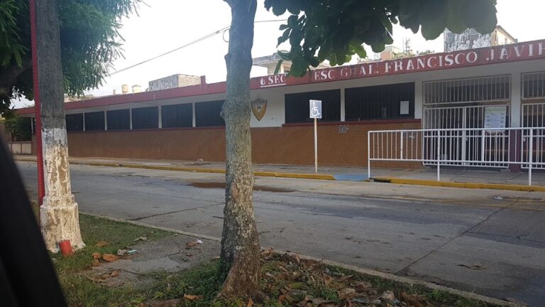 41651 escuela primaria gral. francisco javier mina 768x432