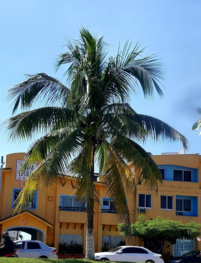 41799 secundaria prof. mariano miranda fonseca 768x1005