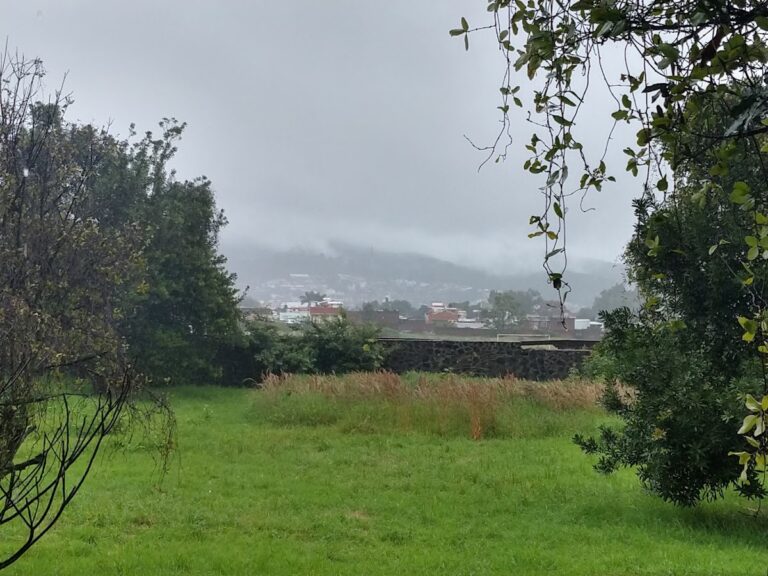 41950 esfu 2 768x576