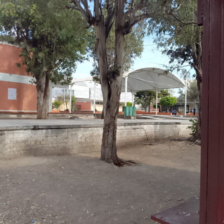 42036 escuela secundaria tecnica no. 11 768x768