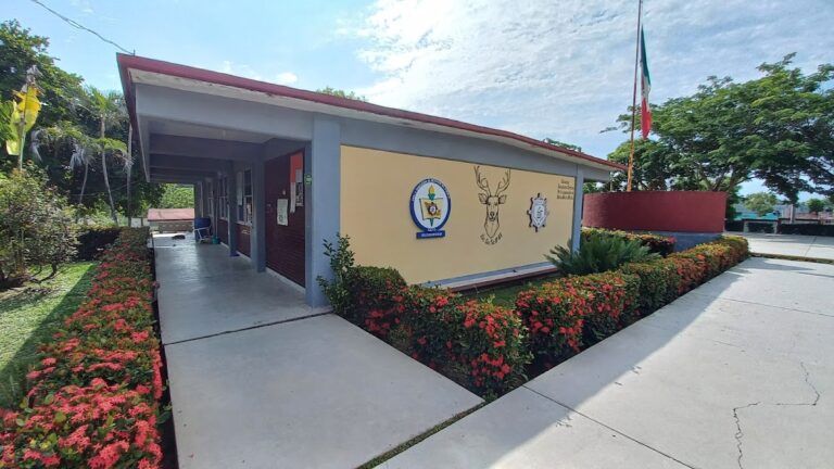 42053 secundaria tecnica numero 63 768x432