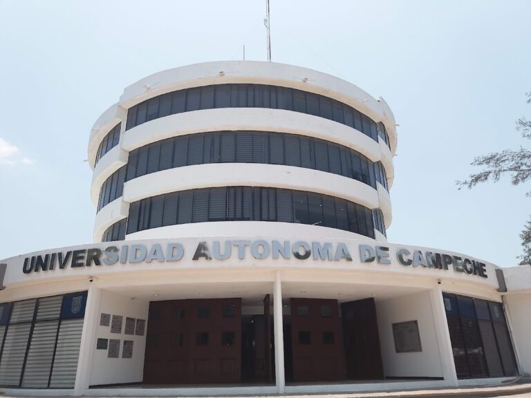42212 universidad autonoma de campeche 768x576
